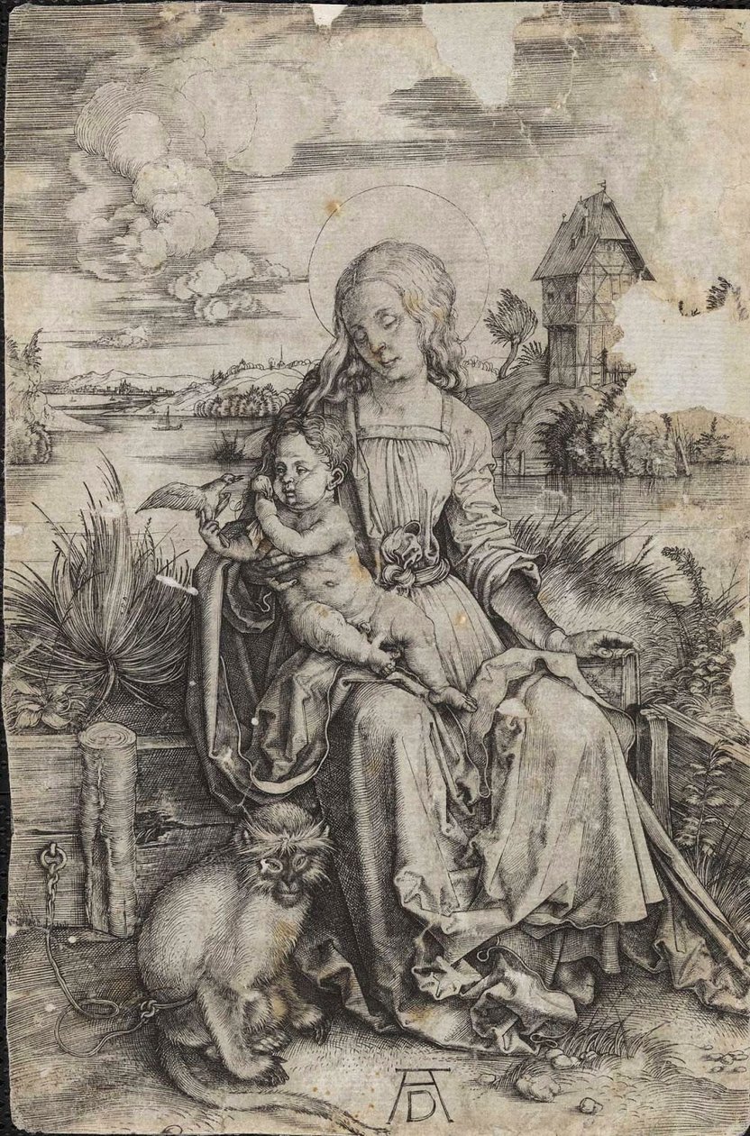Jomfru og barn med en ape av Albrecht Dürer