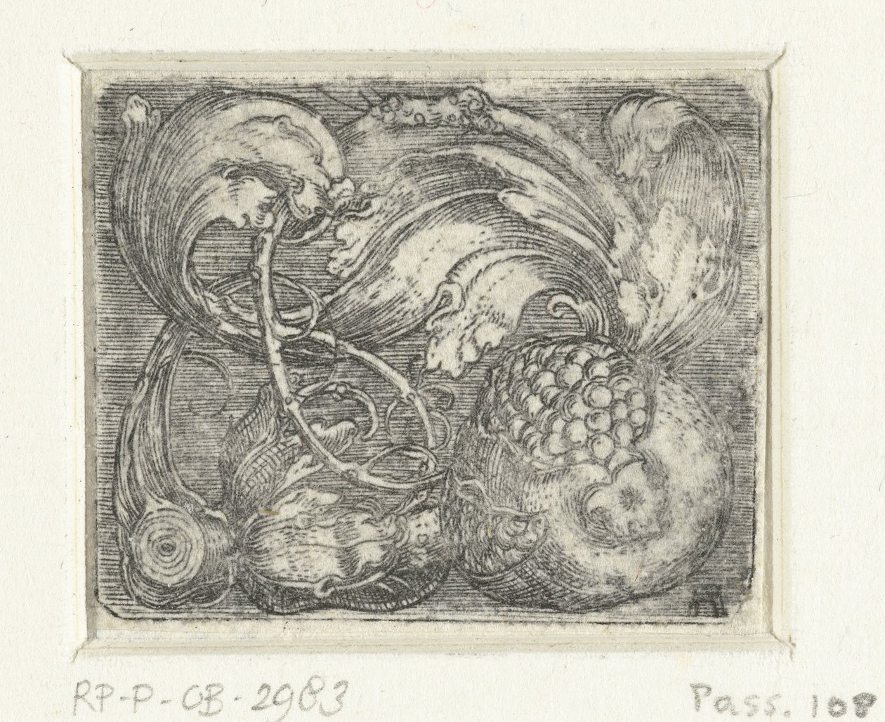 Granateple og bladranker av Albrecht Altdorfer