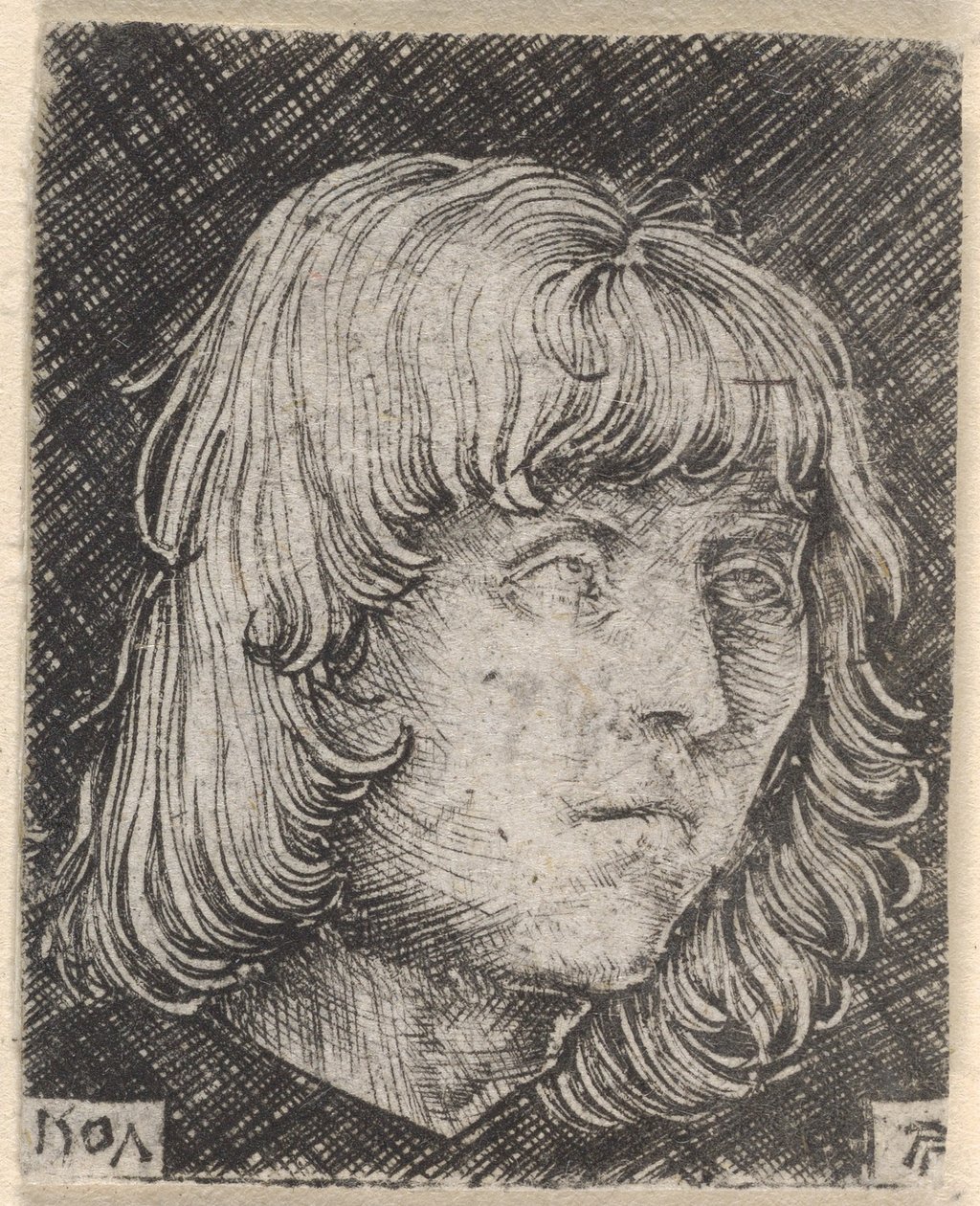 Hodet til en ung mann av Albrecht Altdorfer