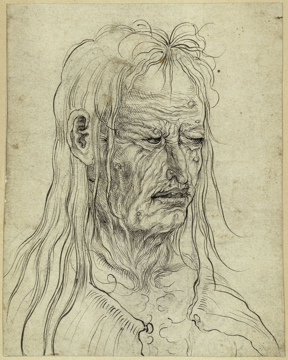 Hodet til en stygg gammel kvinne, mot høyre av Albrecht Altdorfer