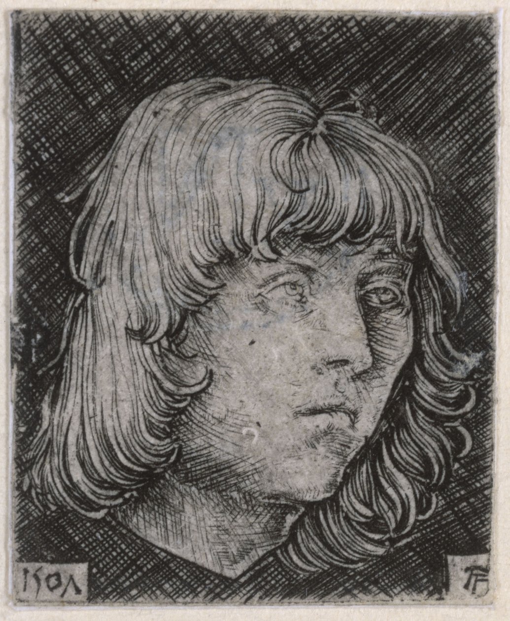 Hode av en ung mann av Albrecht Altdorfer