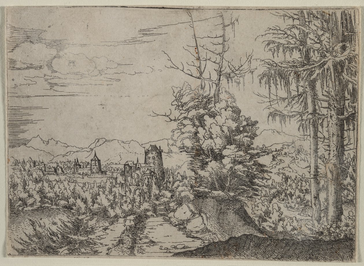 Landskap med to furutrær av Albrecht Altdorfer