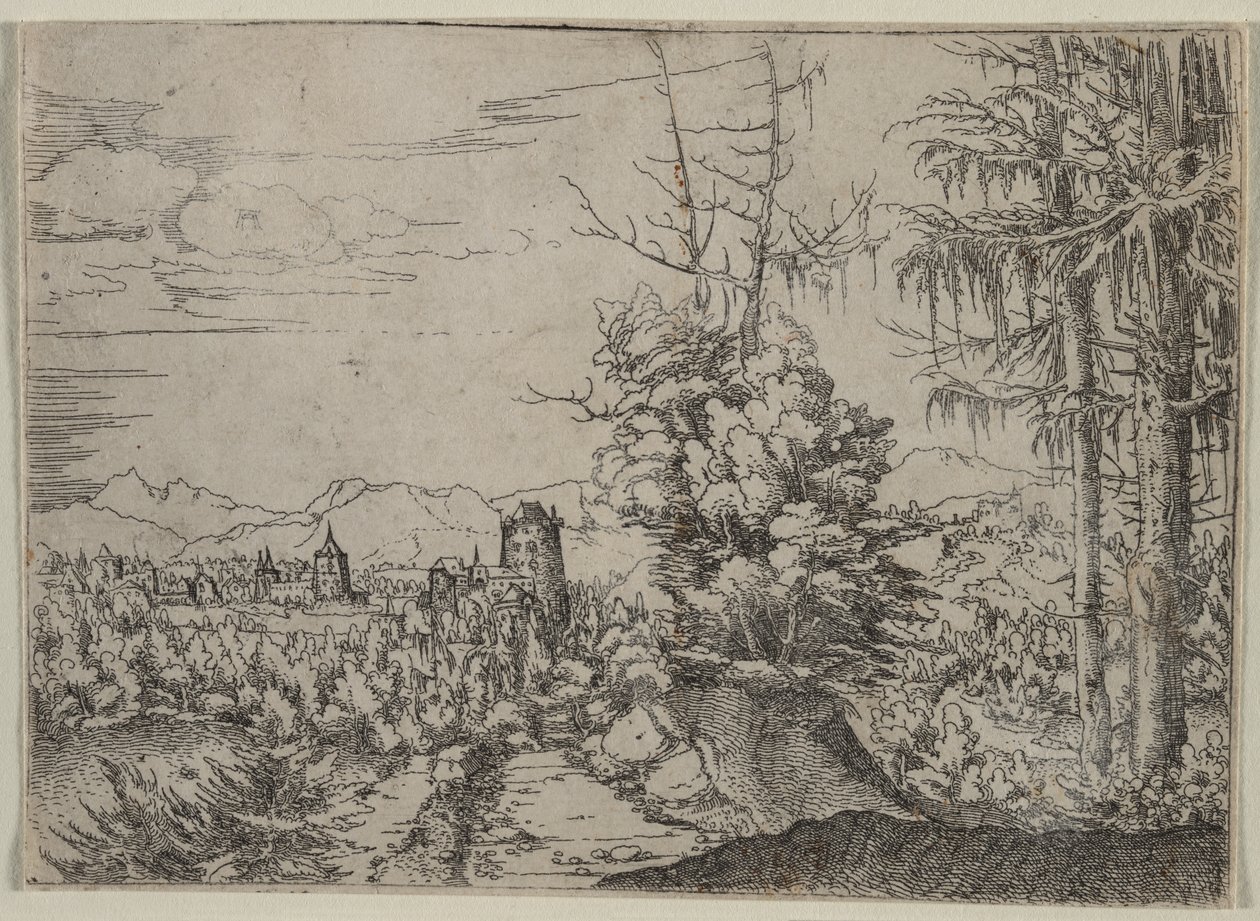 Landskap med to furutrær, 1522-1525. av Albrecht Altdorfer