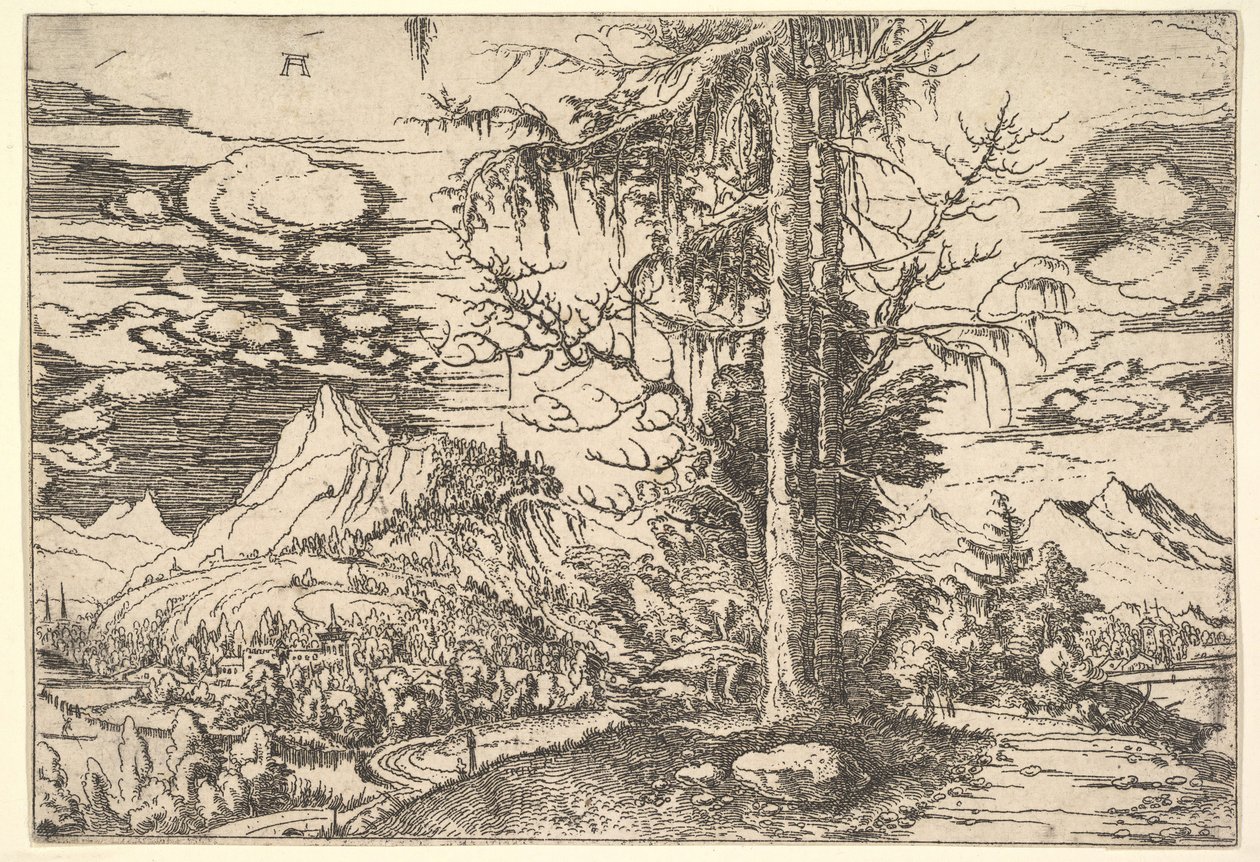Landskap med dobbel gran, ca. 1521-22. av Albrecht Altdorfer