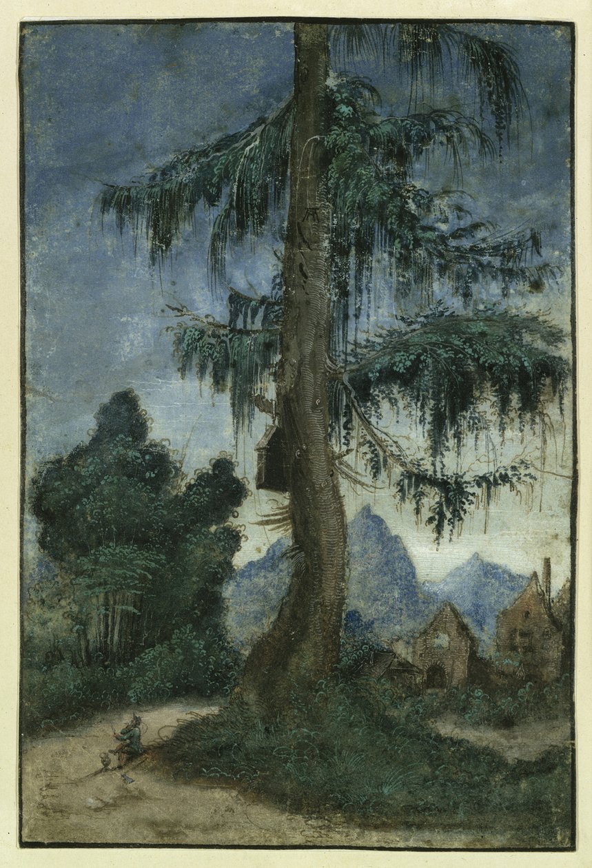 Landskap med gran, ca 1522. av Albrecht Altdorfer