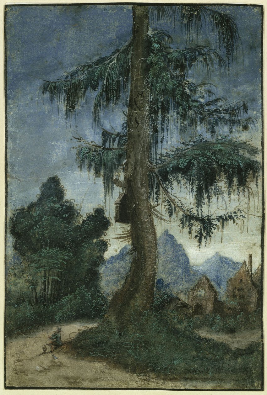 Landskap med gran av Albrecht Altdorfer