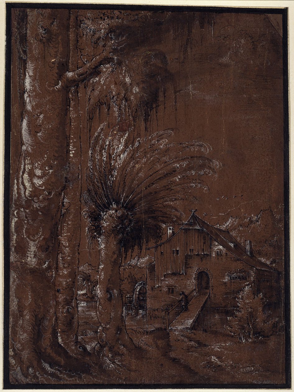 Landskap med vannmølle av Albrecht Altdorfer