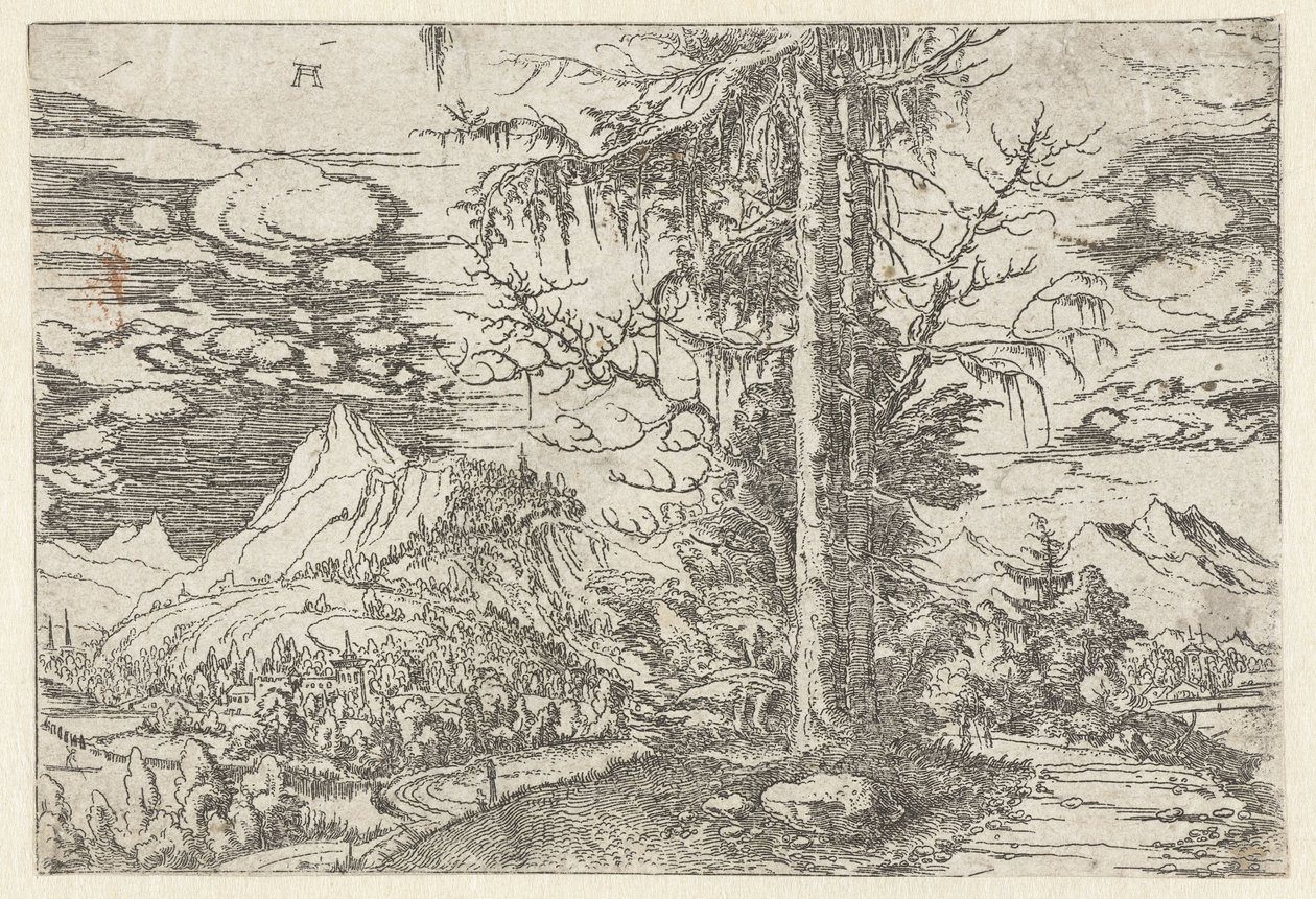 Landskap med dobbel gran av Albrecht Altdorfer