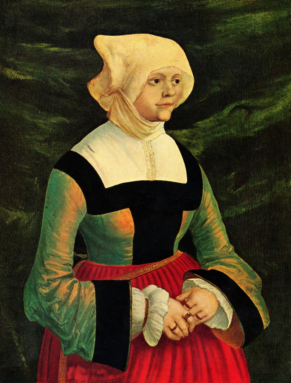  av Albrecht Altdorfer