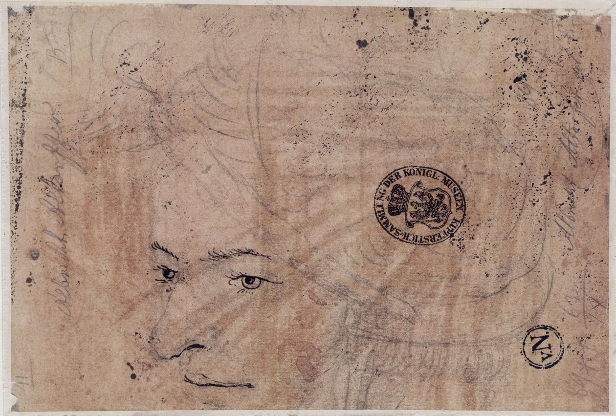 Portrettskisse av en ung mann med caps av Albrecht Altdorfer