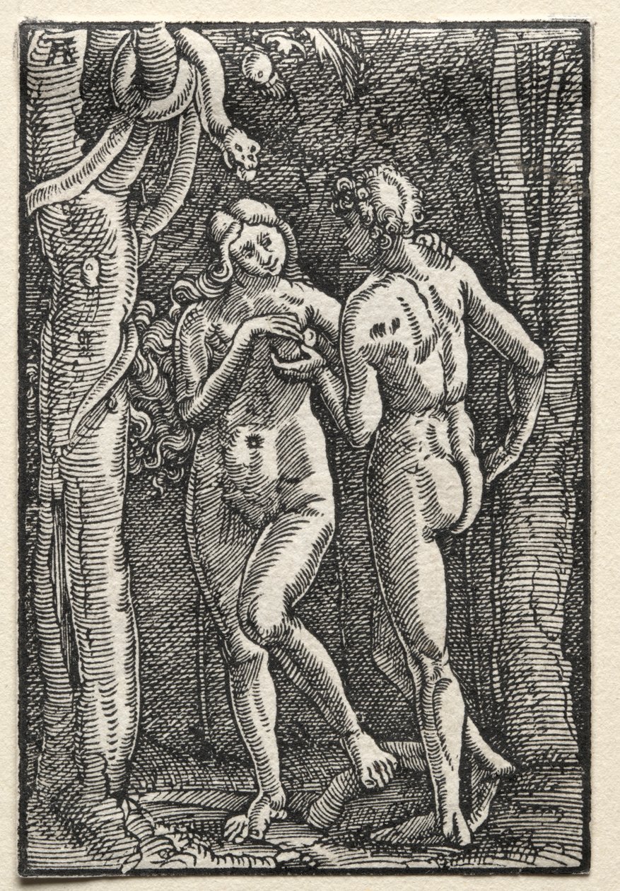 Menneskets fall og forløsning: Adam og Eva spiser den forbudte frukten av Albrecht Altdorfer