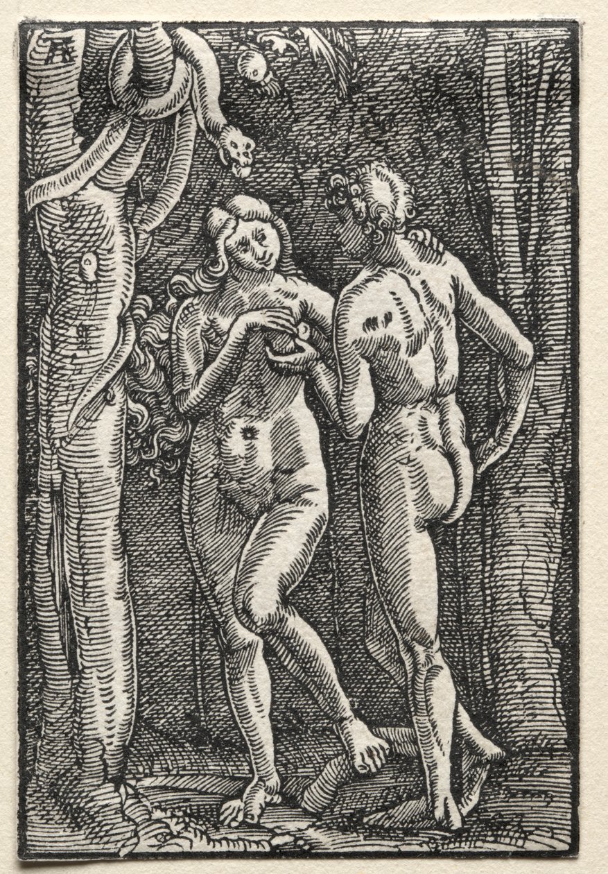 Menneskets fall og forløsning: Adam og Eva spiser den forbudte frukt, ca. 1515. av Albrecht Altdorfer