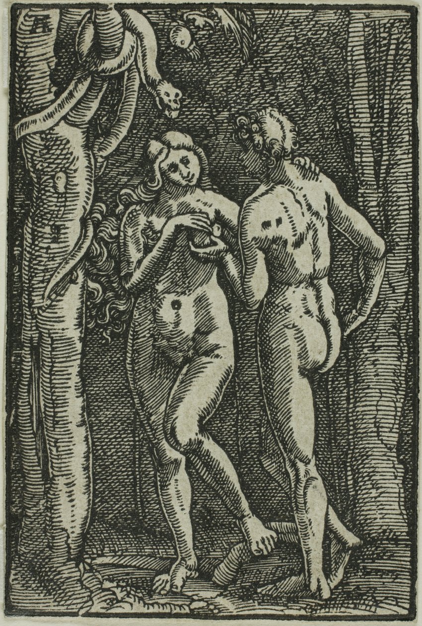 The Fall of Man, fra The Fall and Redemption of Man av Albrecht Altdorfer