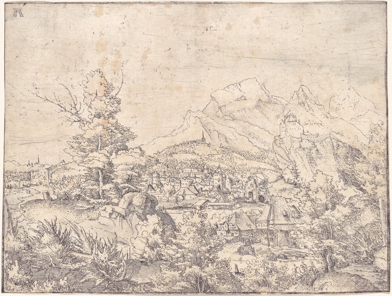 Det store landskapet med vannmøllen av Albrecht Altdorfer