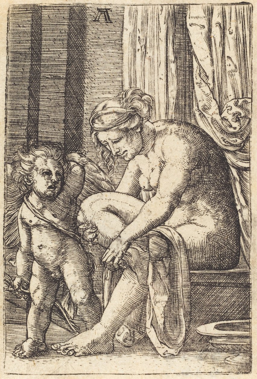 Venus etter badet av Albrecht Altdorfer