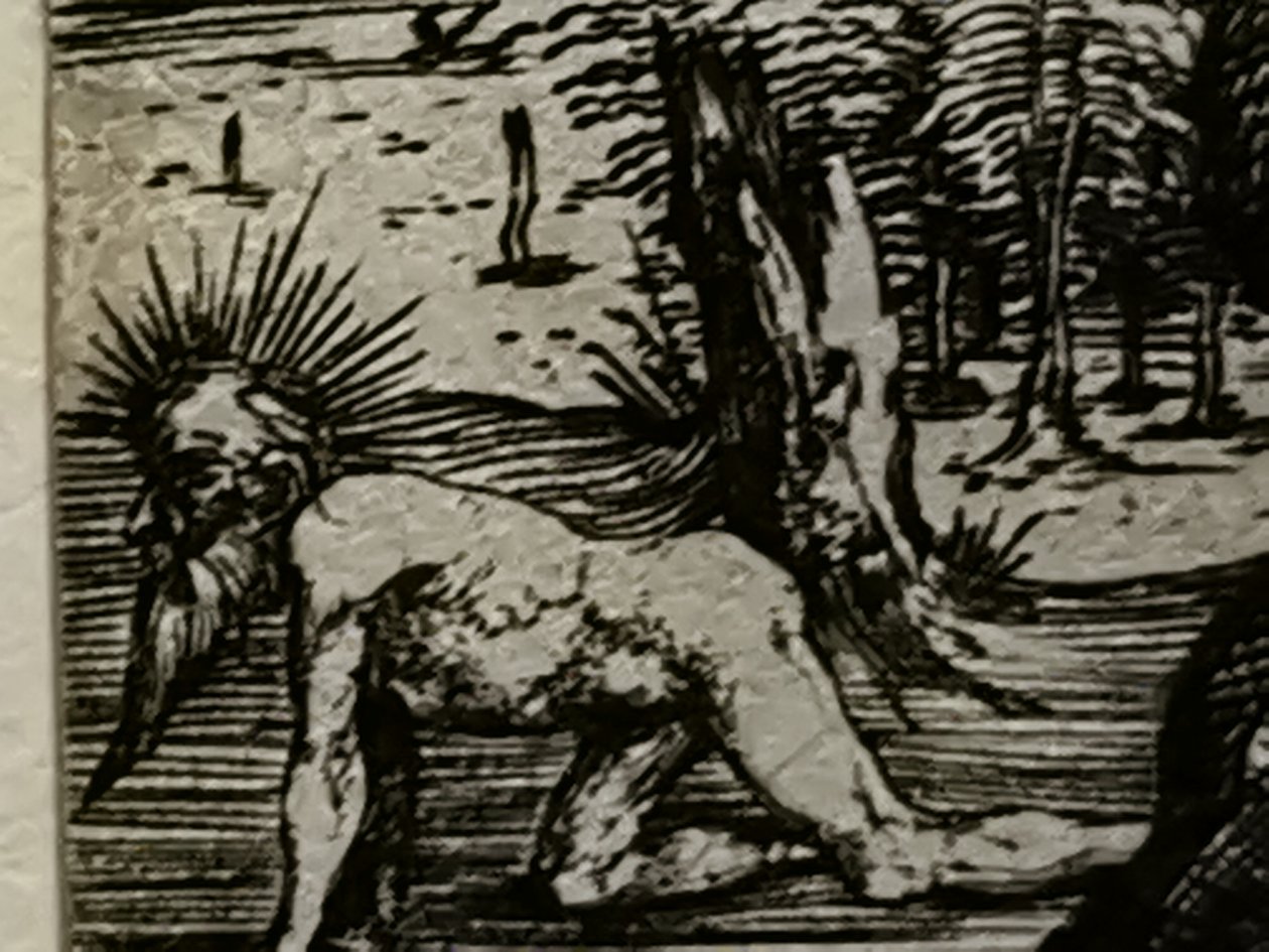  av Albrecht Dürer