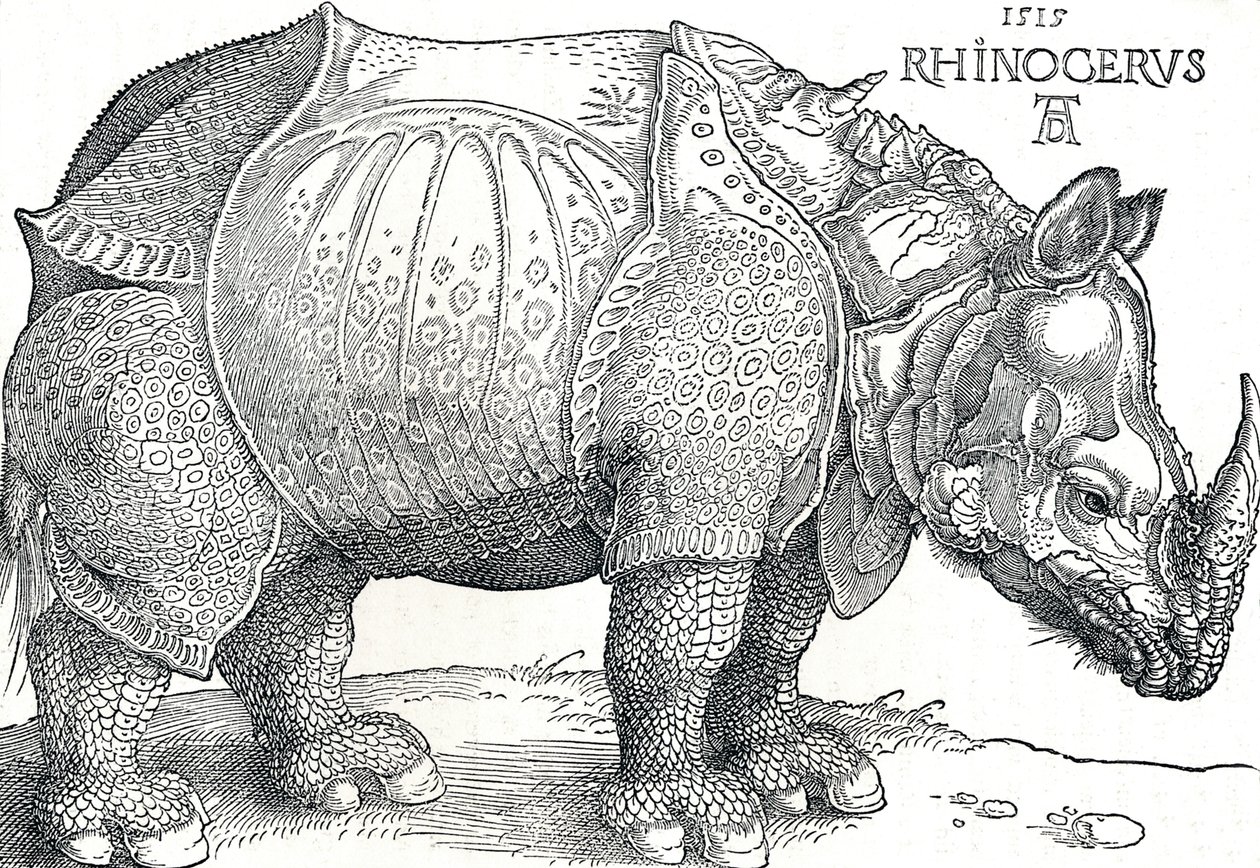 Et neshorn, 1515, 1906 av Albrecht Dürer