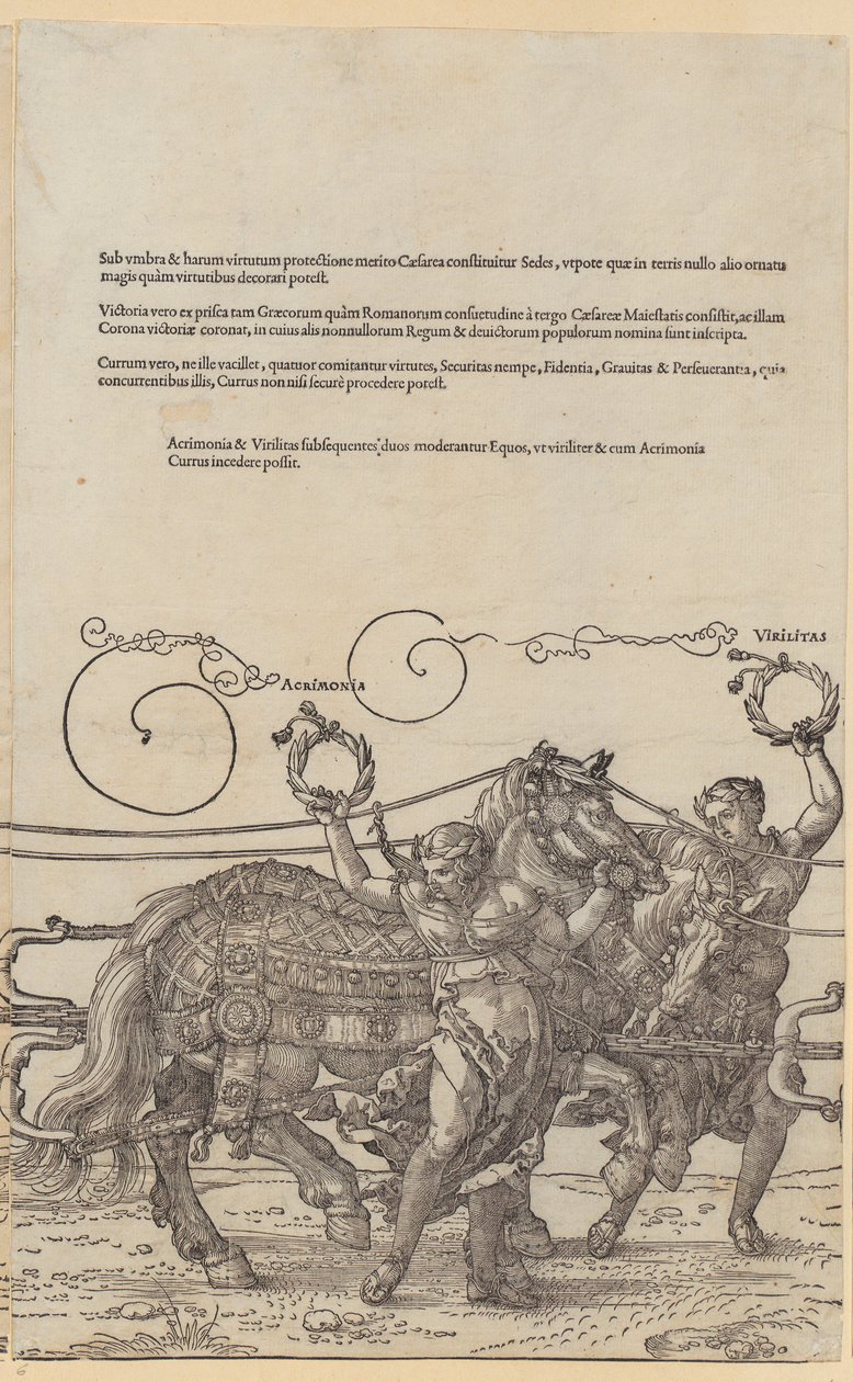 Acrimonia, tavle 6 fra serien «Den store triumfvognen» av Albrecht Dürer