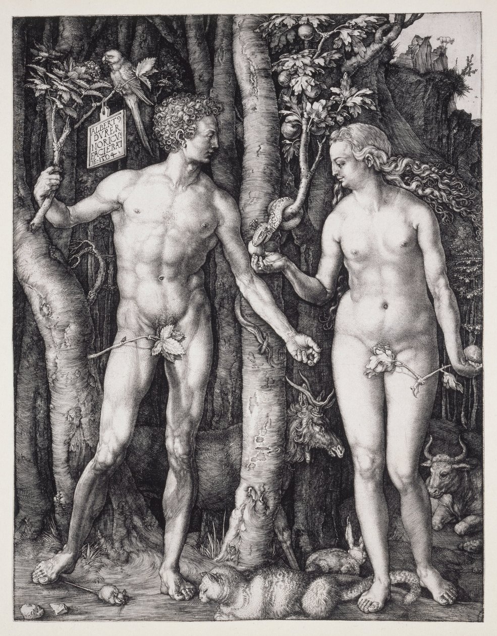  av Albrecht Dürer