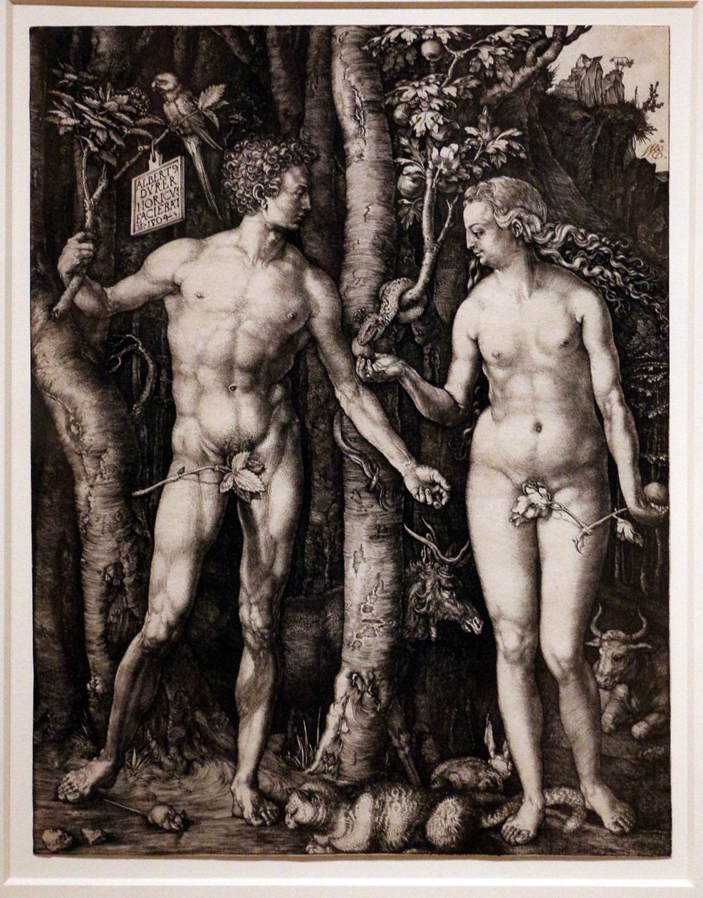  av Albrecht Dürer