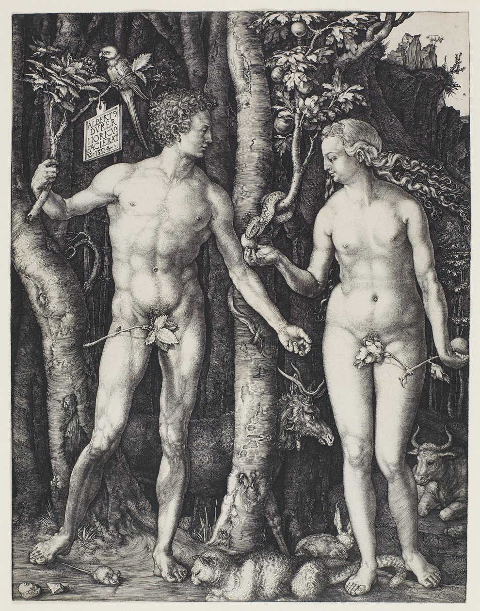  av Albrecht Dürer
