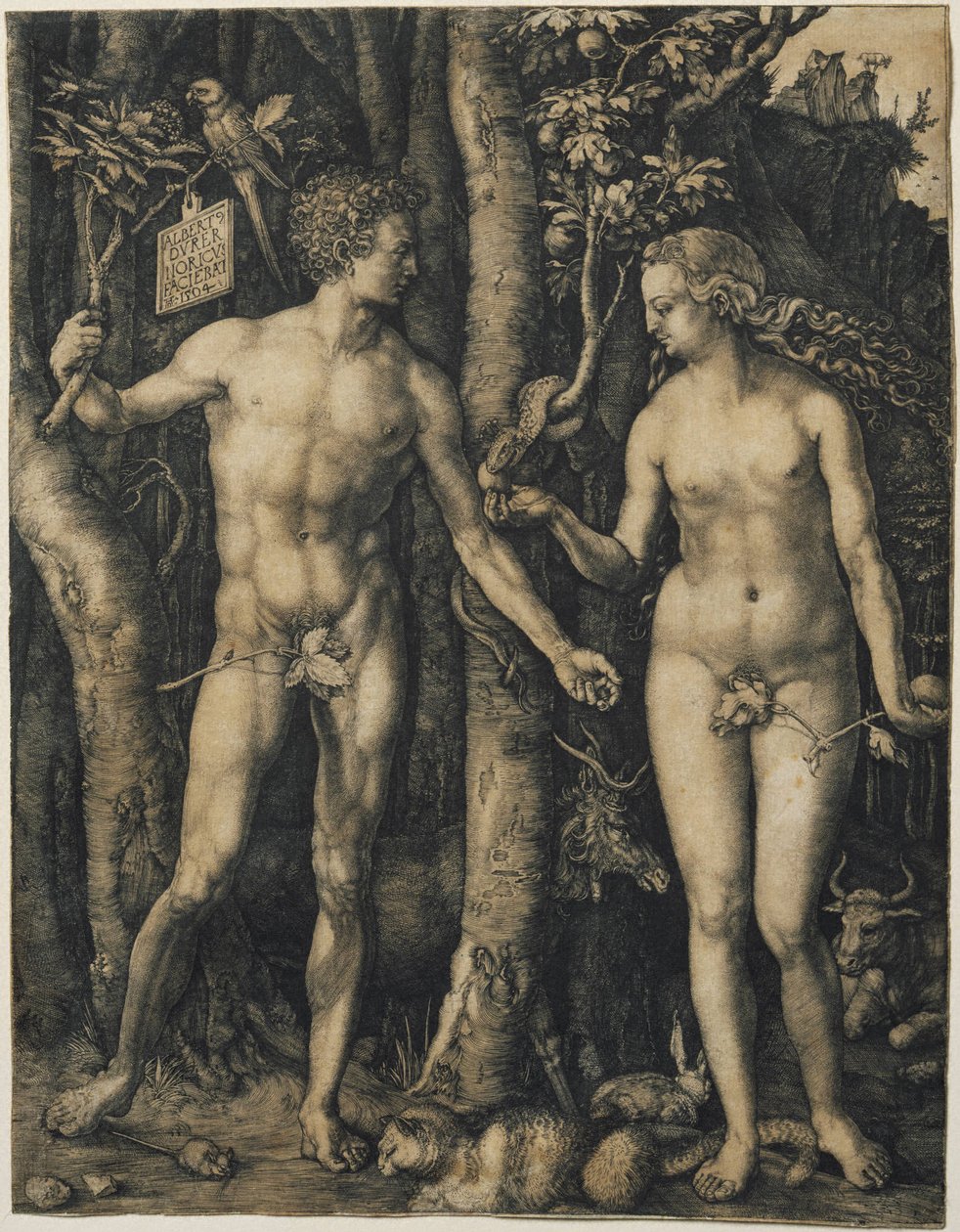  av Albrecht Dürer
