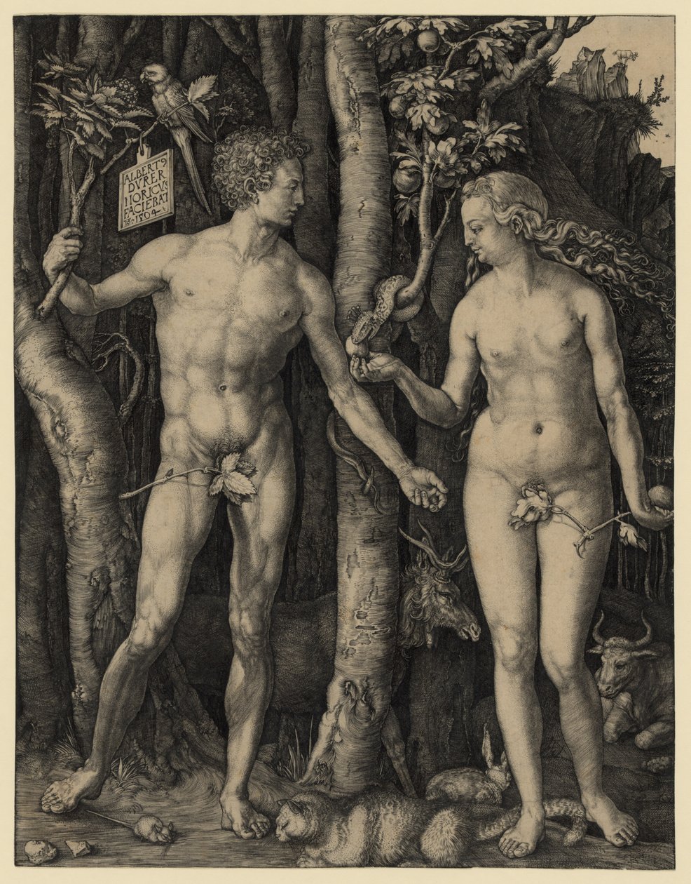  av Albrecht Dürer
