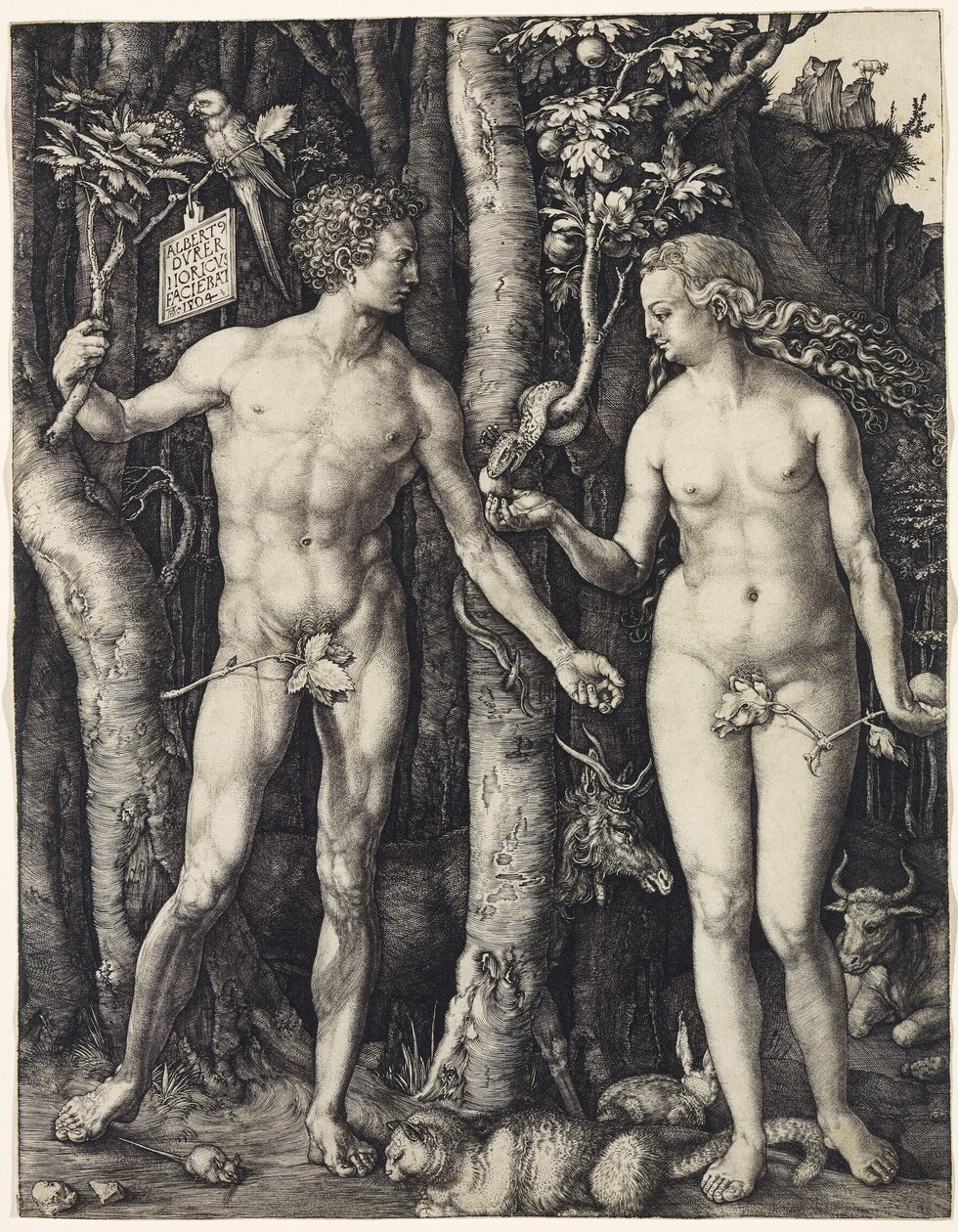  av Albrecht Dürer