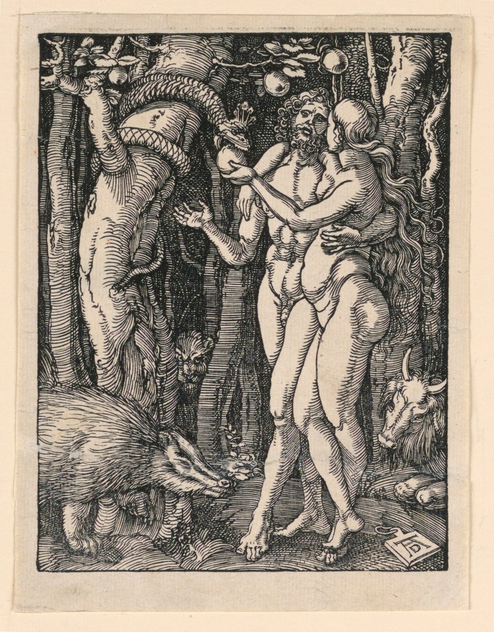 Adam og Even, fra The Little Passion-serien av Albrecht Dürer