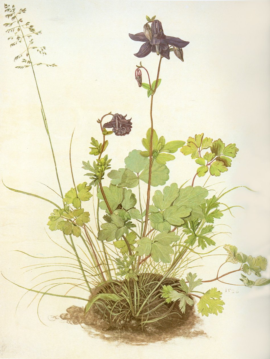  av Albrecht Dürer