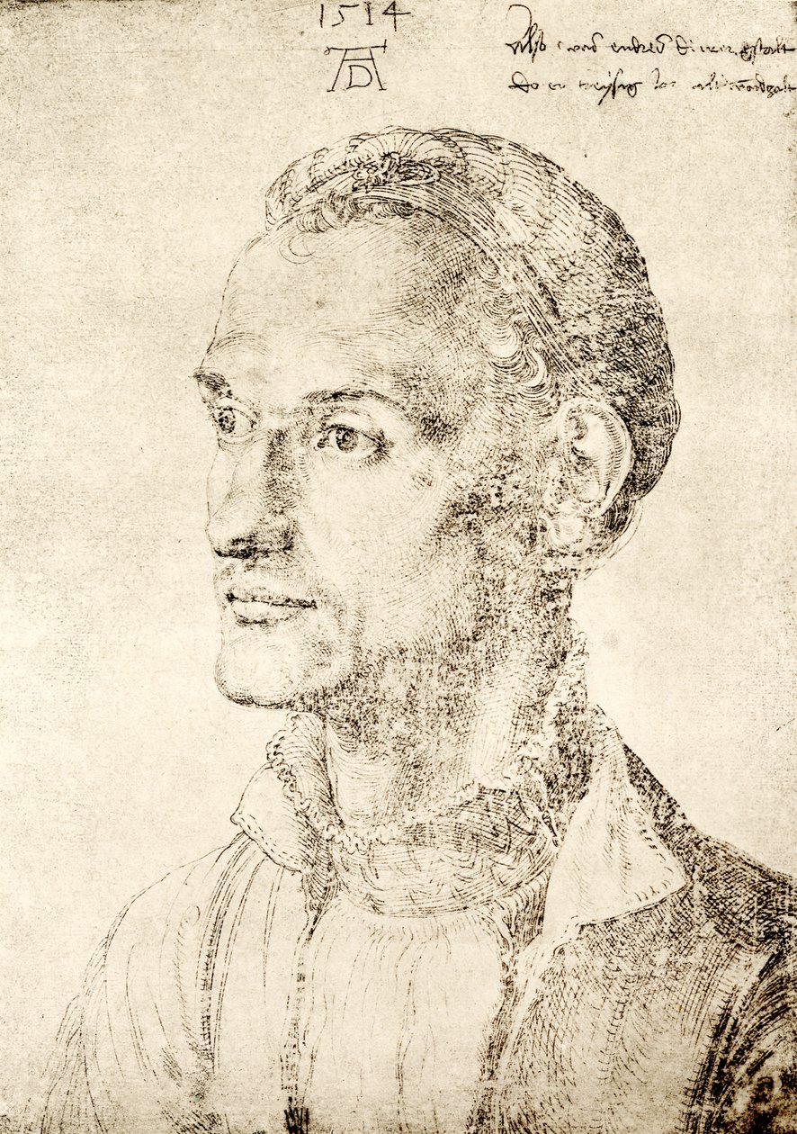 Andreas Durer av Albrecht Dürer