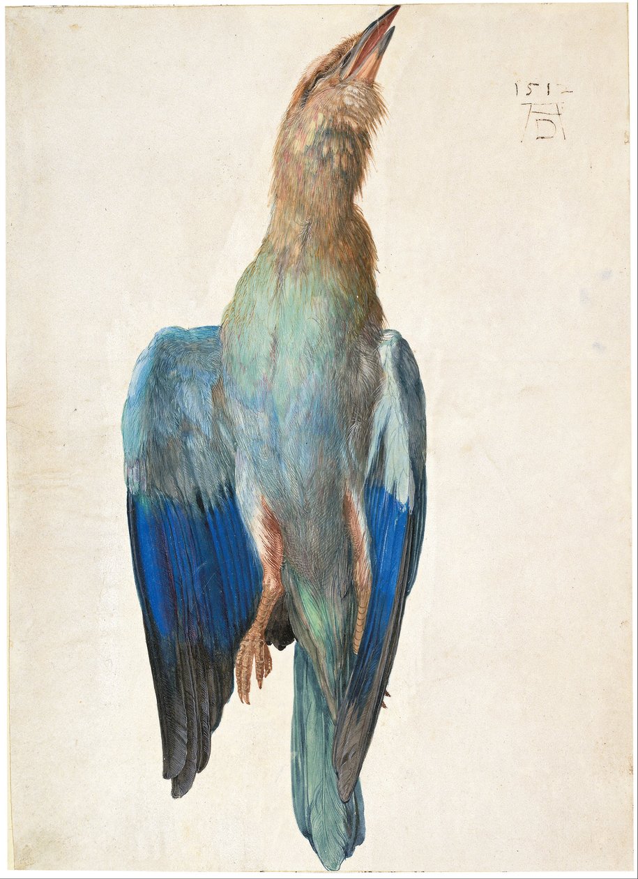  av Albrecht Dürer