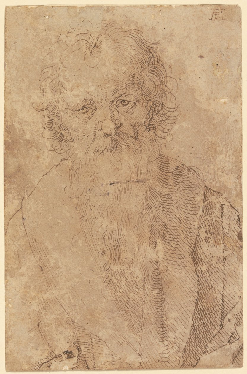 Skjeggete gammel mann av Albrecht Dürer