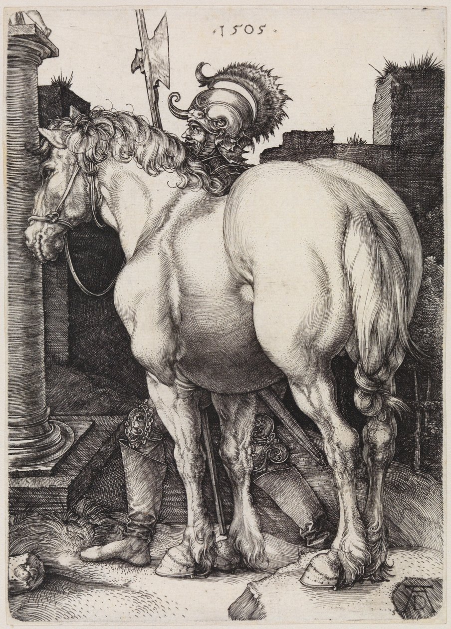 Den store hesten av Albrecht Dürer