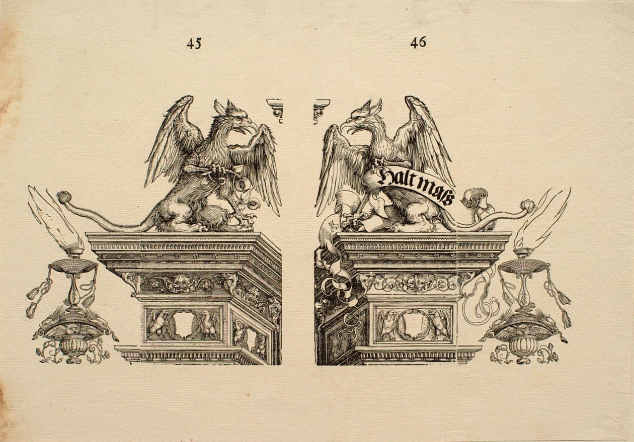 Detalj 45 og 46 av Albrecht Dürer