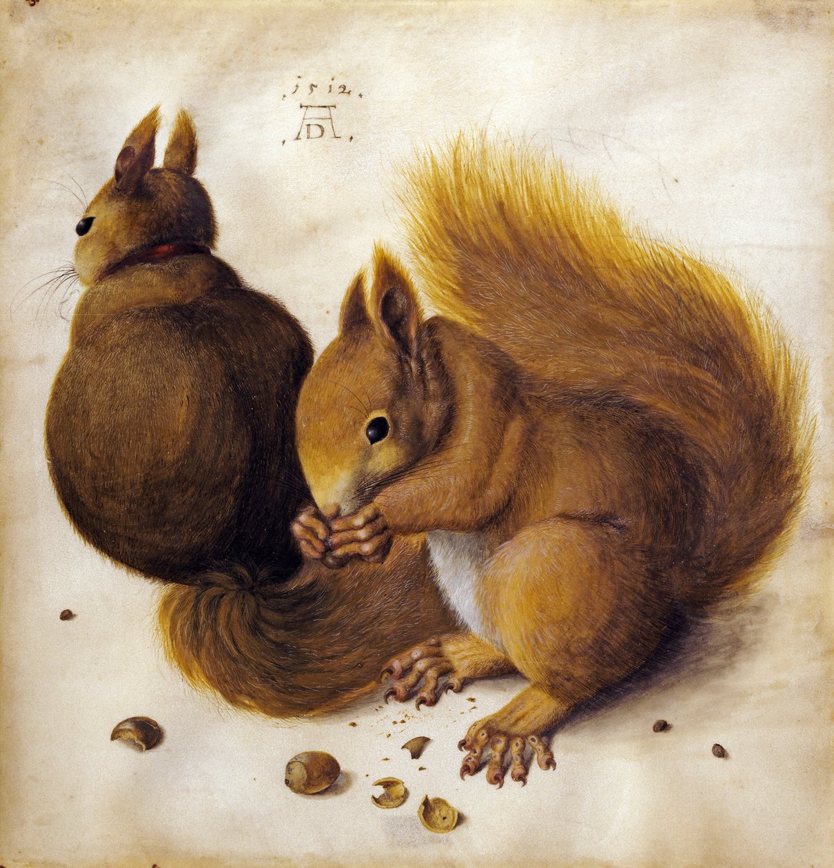  av Albrecht Dürer