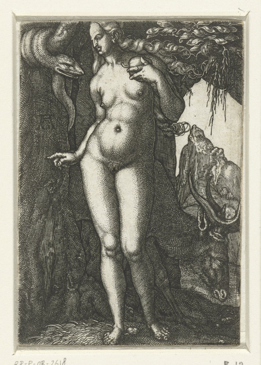  av Albrecht Dürer