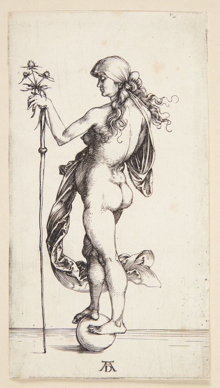 Formue av Albrecht Dürer
