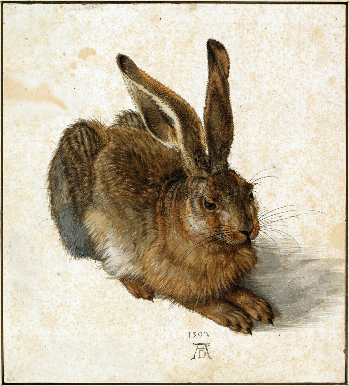  av Albrecht Dürer
