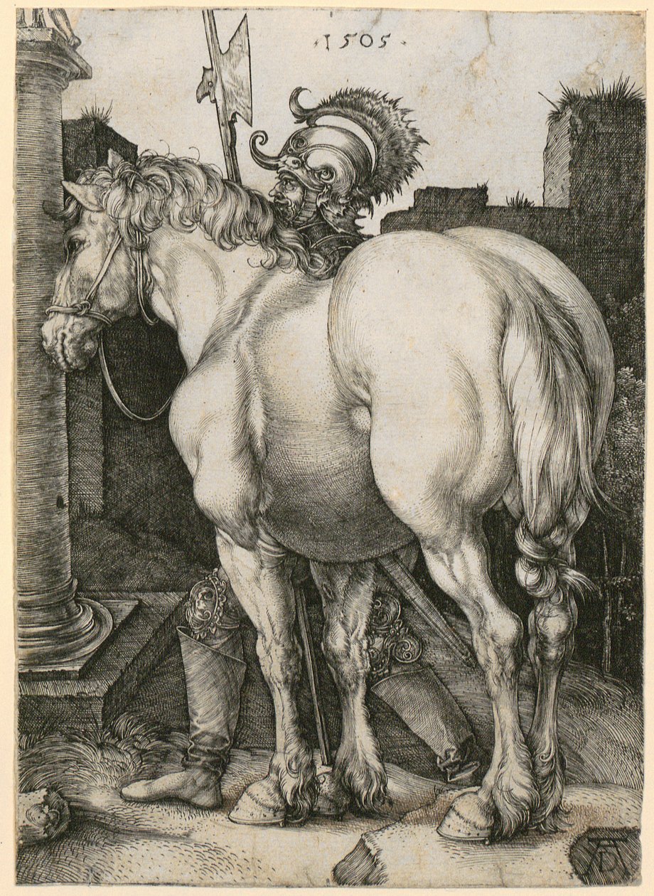 Den store hesten av Albrecht Dürer