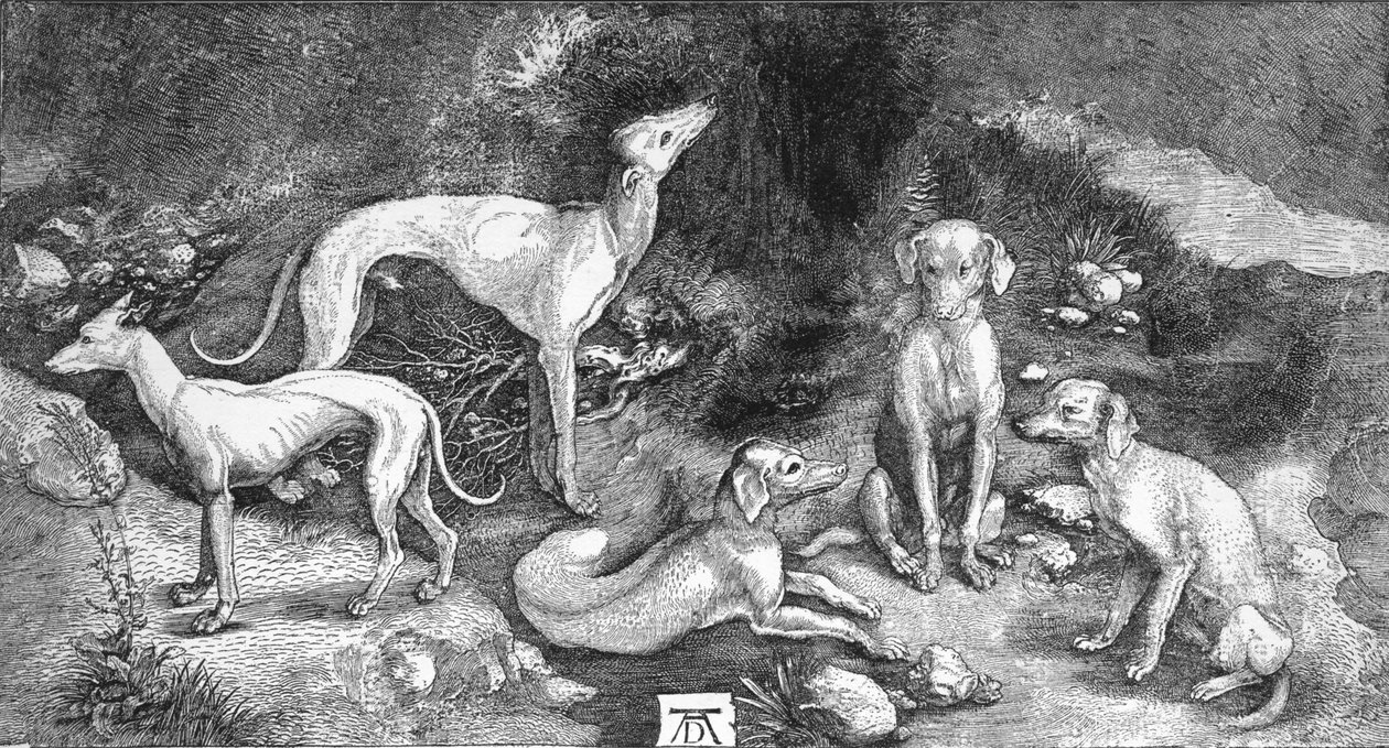 Gruppe av hunder. Fra graveringen av St. Eustace, av A. Durer, c1500, 1906 av Albrecht Dürer
