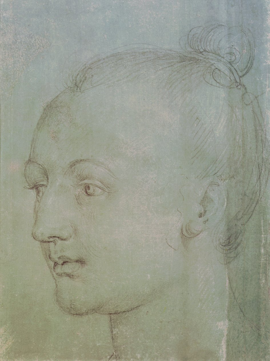 Head of a Young Woman (svart kritt forsterket med hvitt kritt på grønt papir) av Albrecht Dürer