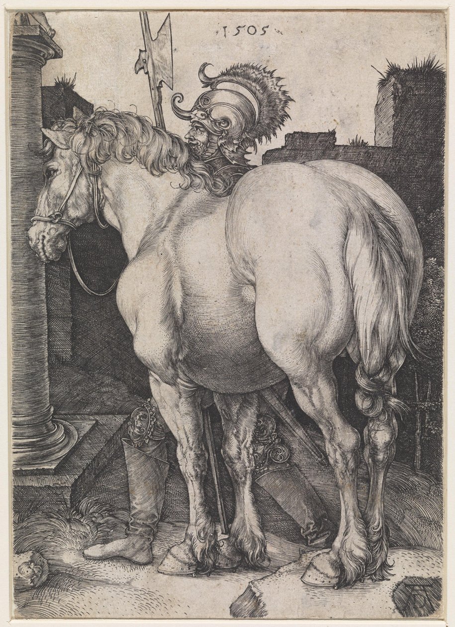 Den store hesten av Albrecht Dürer