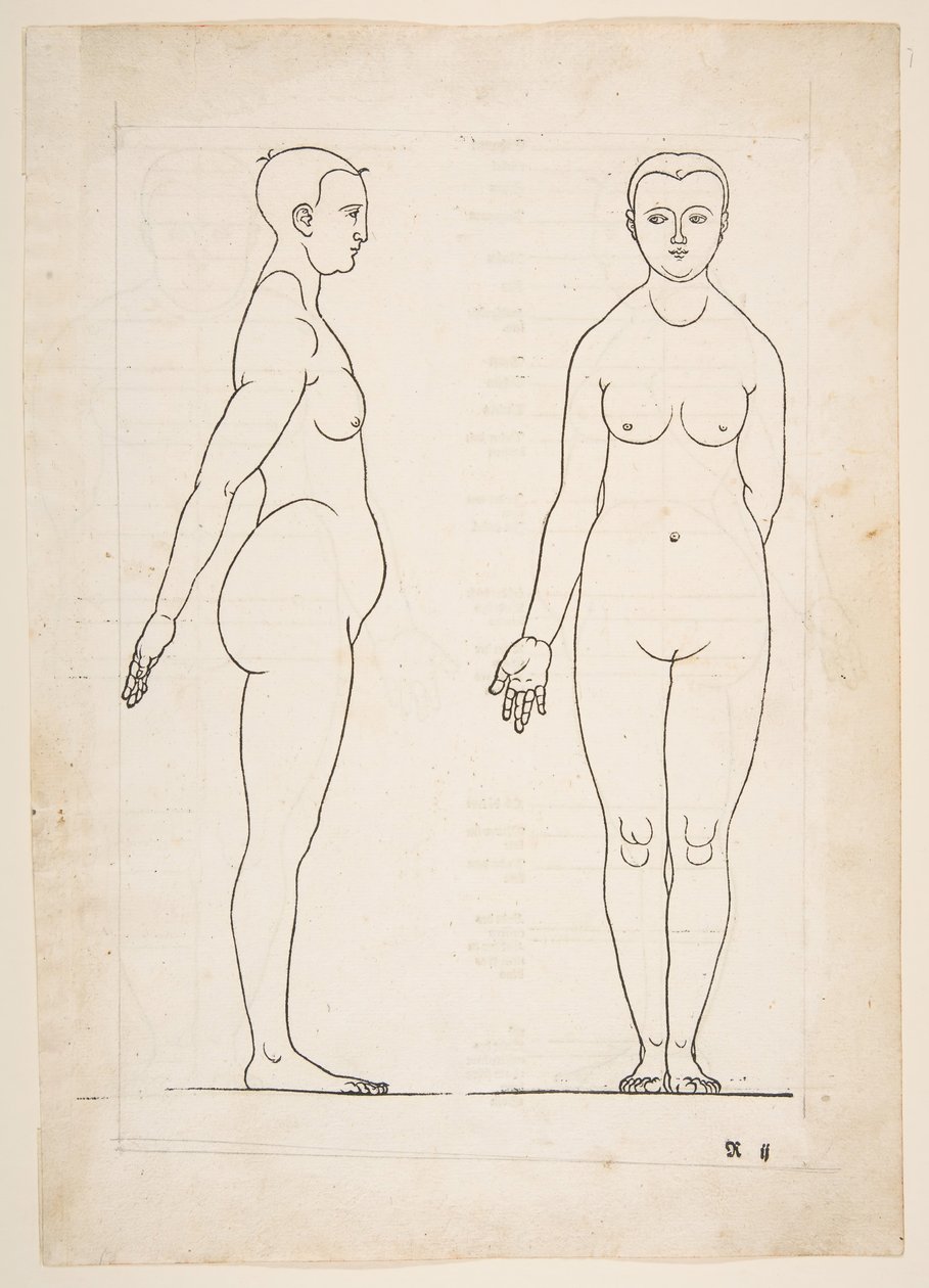 IIllustrasjon fra Dürers fire bøker om menneskelig proporsjon, Nürnberg, 1528.n.d. av Albrecht Dürer