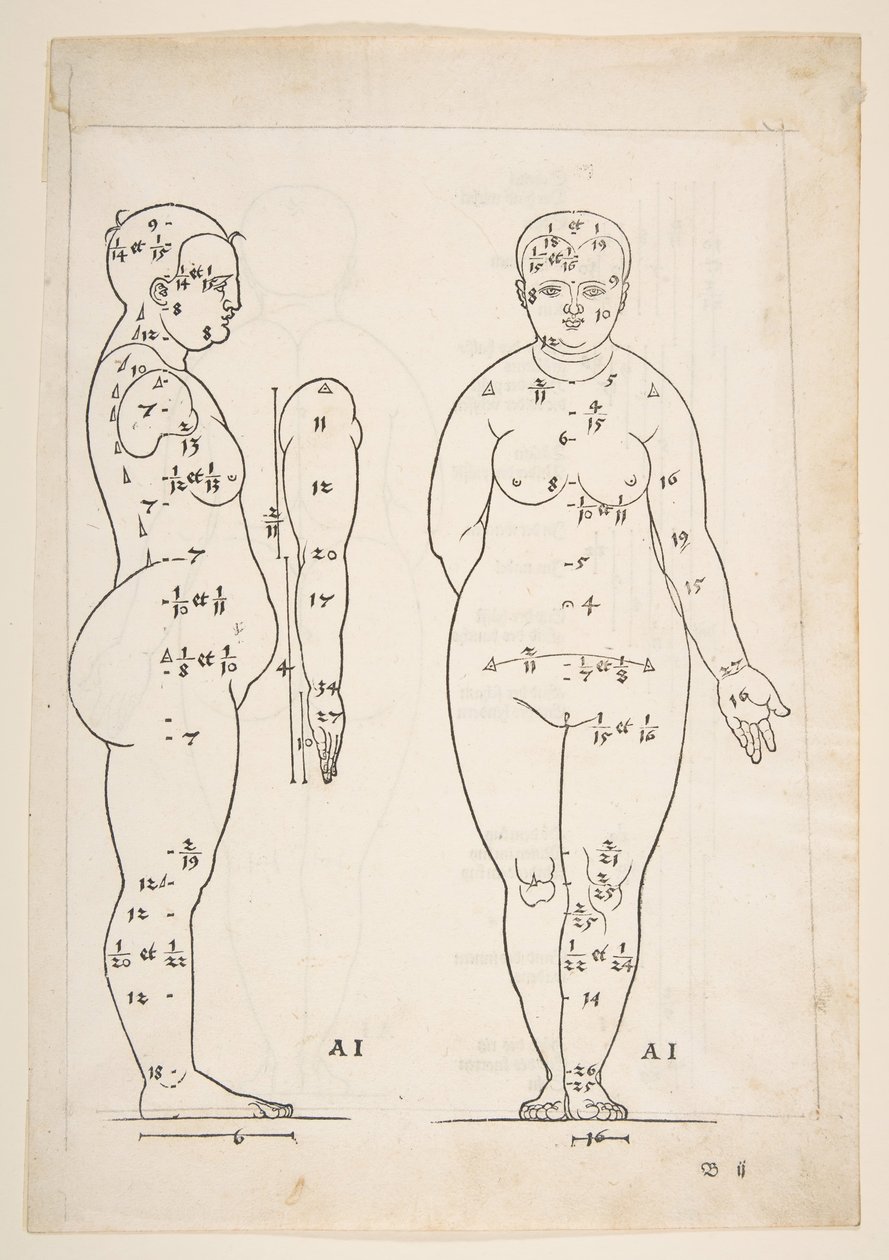Illustrasjon fra Dürers fire bøker om menneskelig proporsjon, Nürnberg, 1528.n.d. av Albrecht Dürer