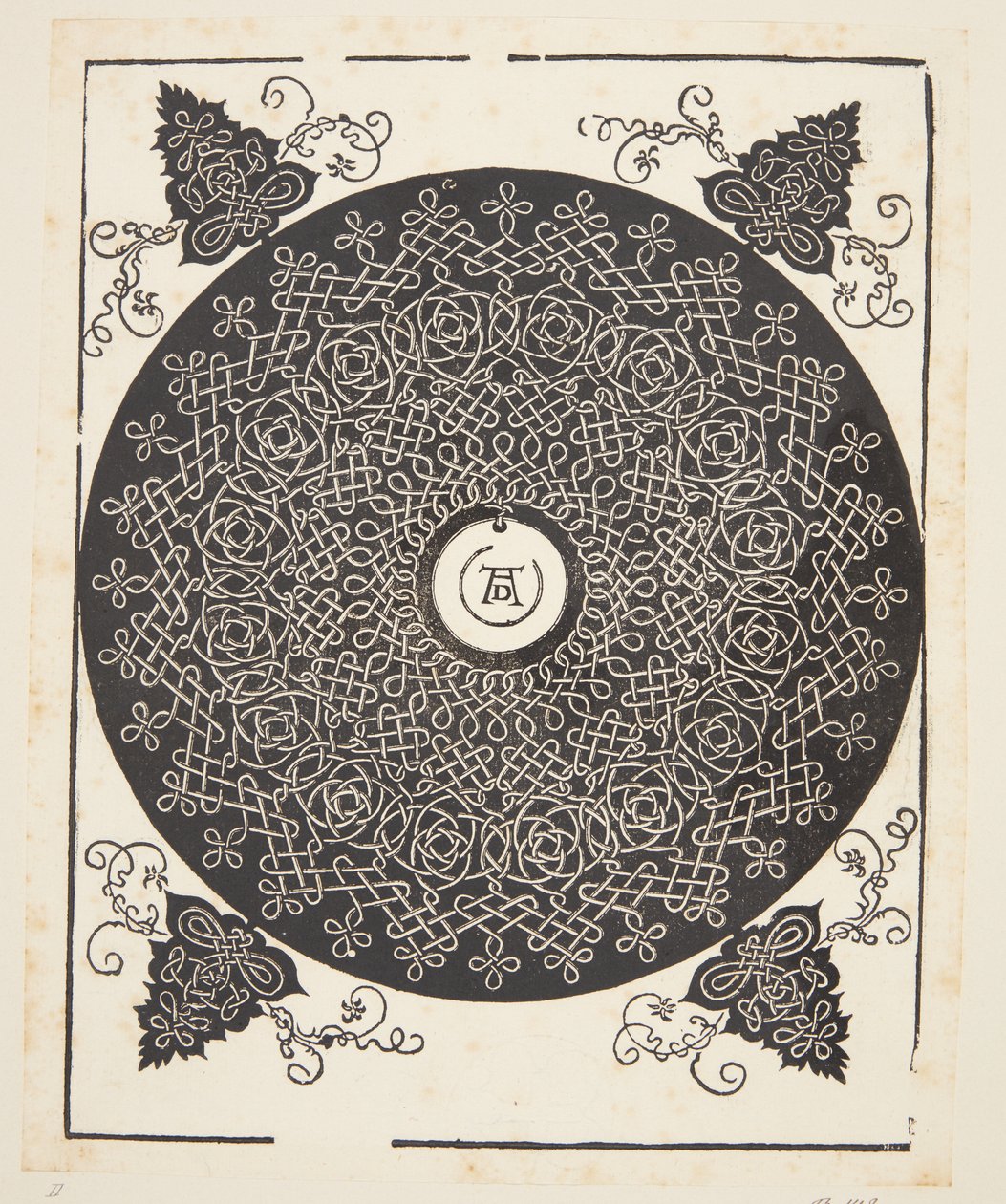 Interlaced Cord Mønster med hvit medaljong av Albrecht Dürer