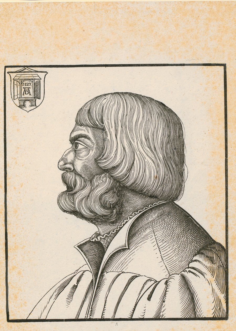 Knute med sju like fletter av Albrecht Dürer