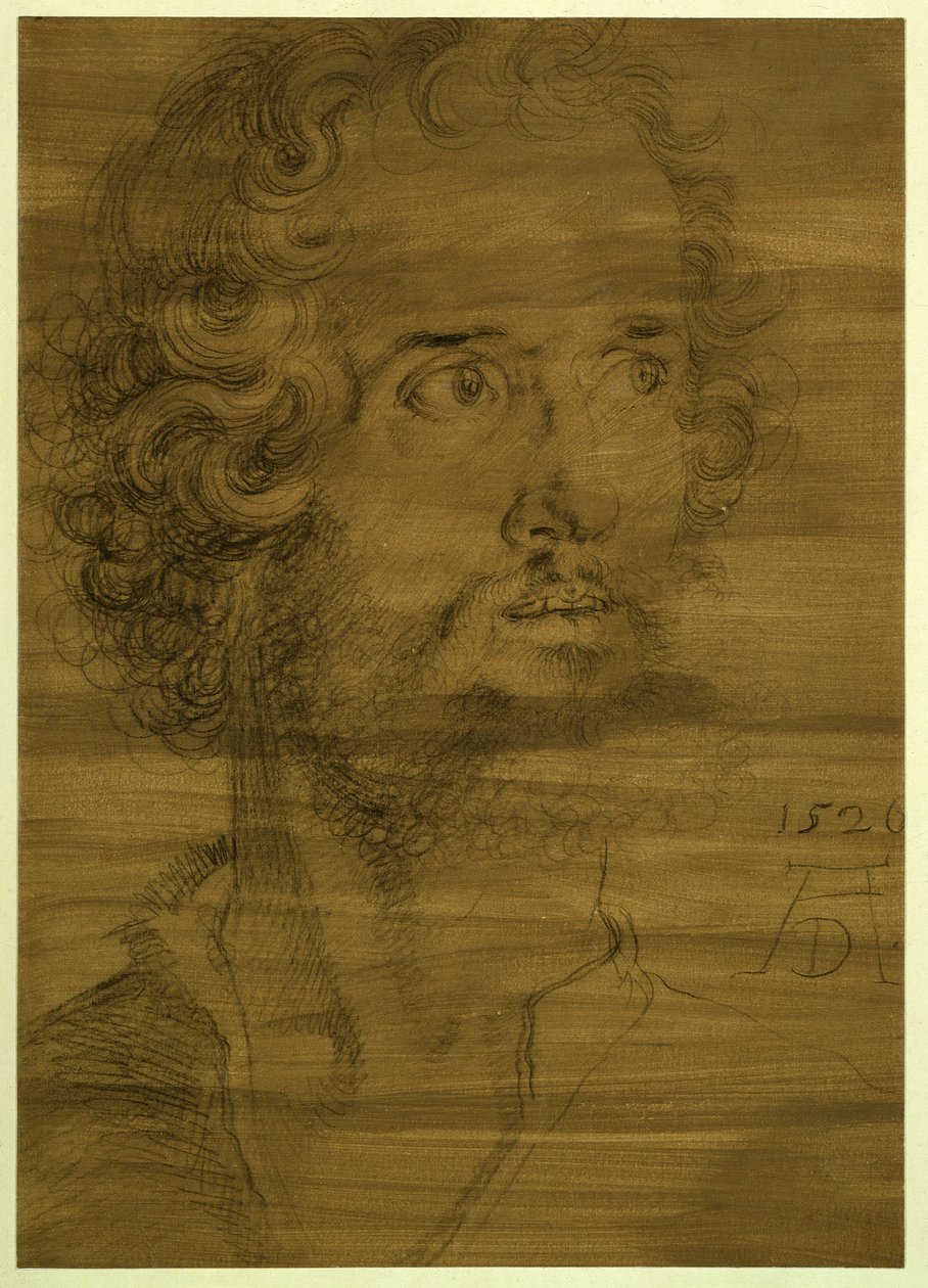 Hodet til evangelisten Markus av Albrecht Dürer