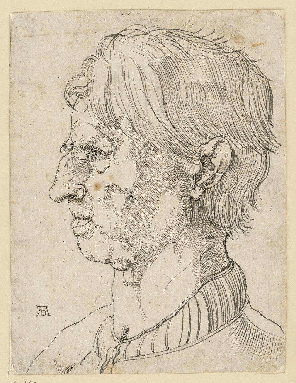 Hode av en eldre skjeggløs mann, i profil mot venstre av Albrecht Dürer