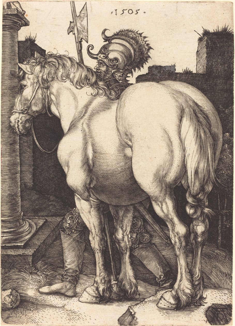 Stor hest av Albrecht Dürer